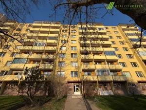 Pronájem bytu 2+1, Hodonín, Brandlova, 55 m2