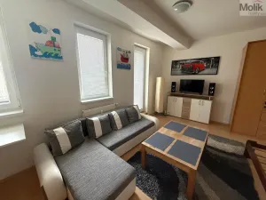 Pronájem bytu 1+kk, Most, Radniční, 32 m2