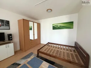 Pronájem bytu 1+kk, Most, Radniční, 32 m2