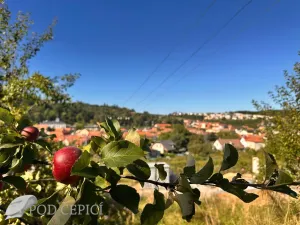 Prodej chaty, Lysice, 70 m2