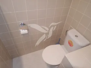 Pronájem bytu 1+kk, Plzeň, Tachovská, 27 m2