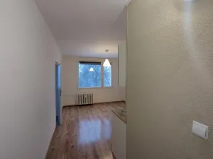 Pronájem bytu 1+1, Litvínov - Horní Litvínov, Tylova, 36 m2