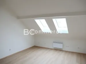 Pronájem kanceláře, Brno, Pražská, 23 m2