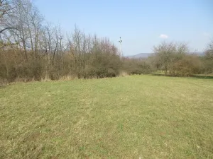 Prodej pole, Brno, Rakovecká, 2070 m2