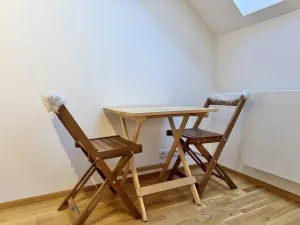 Pronájem bytu 1+kk, Praha - Nové Město, Tyršova, 24 m2