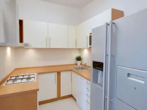 Prodej bytu 2+1, Brno, Rybářská, 72 m2