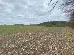 Prodej pozemku, Žinkovy, 4837 m2