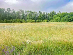 Prodej pole, Kyjovice, 64605 m2