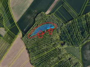 Prodej podílu lesa, Nikolčice, 3584 m2