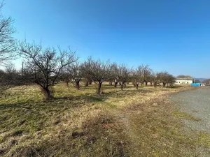 Prodej komerčního pozemku, Lipník nad Bečvou, 29279 m2