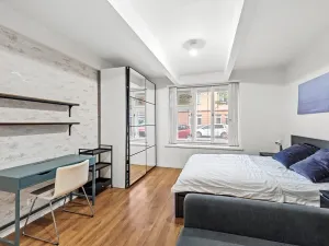 Pronájem bytu 1+1, Praha - Žižkov, Čajkovského, 36 m2