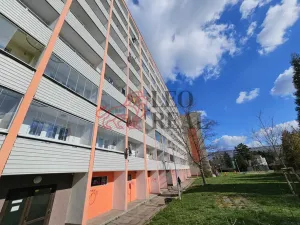 Prodej bytu 3+1, Mladá Boleslav - Mladá Boleslav II, U stadionu, 80 m2