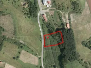 Pronájem louky, Košíky, 801 m2