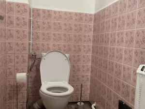 Pronájem bytu 3+1, Mladá Boleslav, Husova, 76 m2