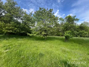Prodej pozemku, Hřibojedy, 2371 m2