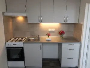 Pronájem bytu 1+1, Ostrava - Zábřeh, Horymírova, 33 m2