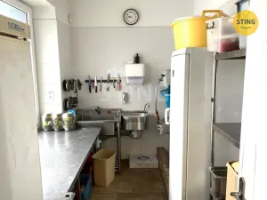 Pronájem restaurace, Olomouc, Sladkovského, 372 m2