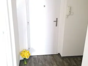 Pronájem bytu 1+1, Ostrava - Výškovice, Lužická, 39 m2