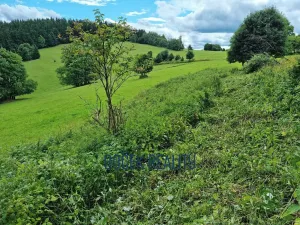 Prodej komerčního pozemku, Žacléř, 34107 m2