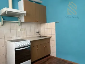 Pronájem bytu 1+1, Mikulášovice, 27 m2