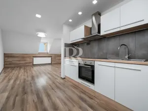 Prodej činžovního domu, Děčín, Březová, 347 m2