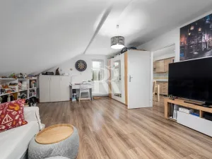 Prodej činžovního domu, Děčín, Březová, 347 m2