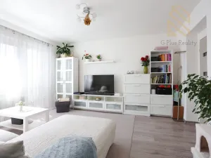 Prodej bytu 3+1, Žatec - Radíčeves, 64 m2