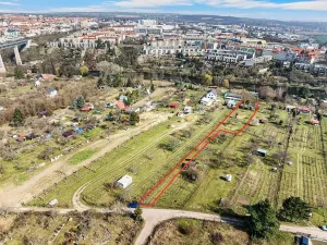 Prodej zahrady, Nový Šaldorf-Sedlešovice, 3000 m2