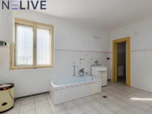 Prodej vícegeneračního domu, Zahořany - Bořice, 236 m2