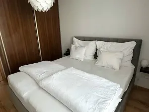 Pronájem bytu 3+kk, Písek, Karla Boromejského, 74 m2