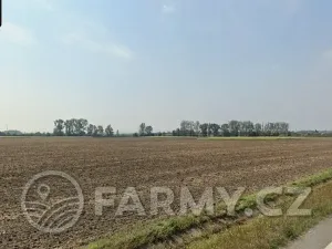 Prodej podílu pole, Pravčice, 27890 m2