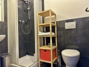Pronájem bytu 3+kk, Praha - Vyšehrad, Neklanova, 60 m2
