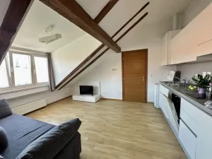 Pronájem bytu 3+kk, Praha - Vyšehrad, Neklanova, 60 m2