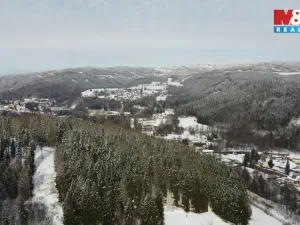 Prodej komerční nemovitosti, Plavy, 180 m2