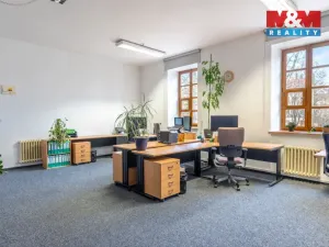 Prodej obchodního prostoru, České Budějovice - České Budějovice 1, Hradební, 615 m2