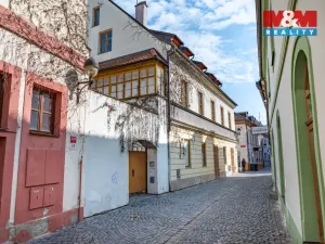 Prodej obchodního prostoru, České Budějovice - České Budějovice 1, Hradební, 615 m2