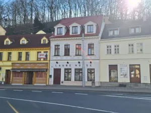 Prodej rodinného domu, Teplice, Laubeho náměstí, 425 m2