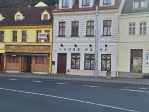 Prodej rodinného domu, Teplice, Laubeho náměstí, 425 m2