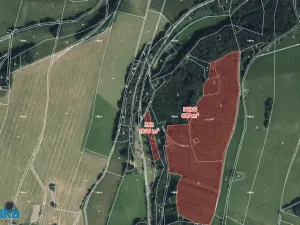 Prodej lesa, Horní Heřmanice, 51563 m2