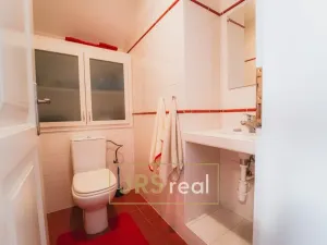 Prodej rodinného domu, Veselí nad Moravou, 182 m2