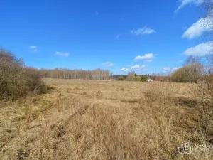 Prodej pole, Krajková - Hrádek, 20262 m2