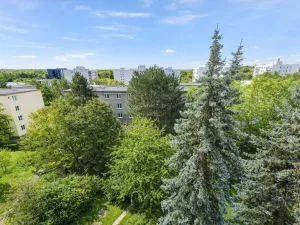 Prodej bytu 4+kk, Praha - Žižkov, Pod lipami, 75 m2
