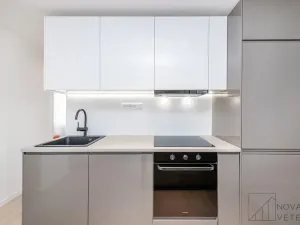 Prodej bytu 4+kk, Praha - Žižkov, Pod lipami, 75 m2