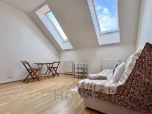 Pronájem bytu 1+kk, Praha - Nové Město, Tyršova, 24 m2