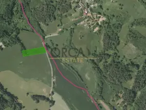 Prodej louky, Kolinec, 4890 m2