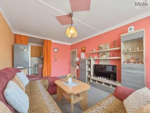 Prodej bytu 2+kk, Most, Františka Malíka, 39 m2