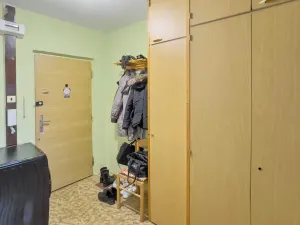 Prodej bytu 2+kk, Most, Františka Malíka, 39 m2