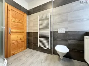 Pronájem bytu 2+kk, Osek, Obránců míru, 40 m2