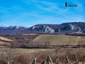 Prodej rodinného domu, Dolní Věstonice, Sklepní, 1000 m2