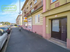 Prodej bytu 2+1, Sokolov, Pionýrů, 56 m2